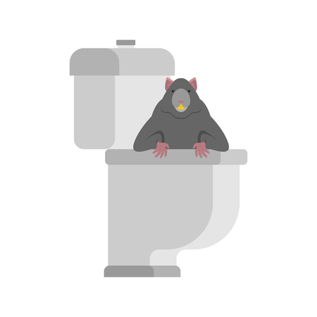 Rat in toilet. Rodent is in WC. Anti-sanitry. Dirty toilet illustration.のイラスト素材