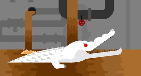 Albino Sewer alligatorのイラスト素材