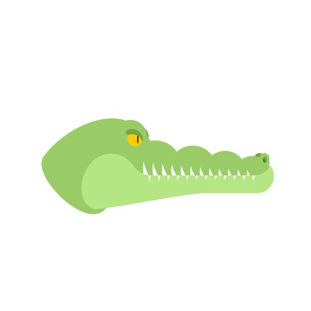 Crocodile head. Alligator muzzle isolated. Predator animal. Vector illustrationのイラスト素材