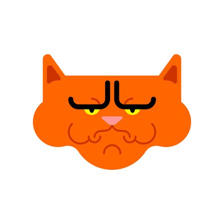 Grumpy cat isolated. Angry pet. Vector illustration
のイラスト素材