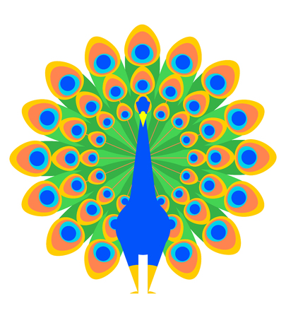Peacock isolated. Beautiful bird with large tail. Vector illustration
のイラスト素材