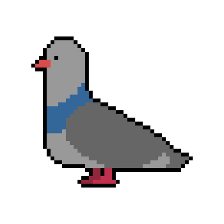 Pigeon pixel art. Dove 8 bit. Vector illustrationのイラスト素材