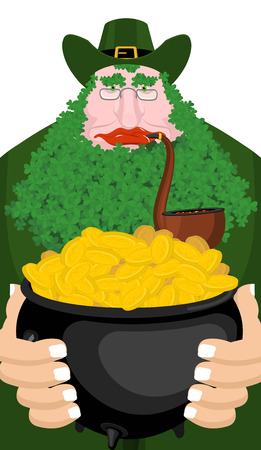 Leprechaun and Pot of gold. beard in Shamrock face. Clover mustache. Ireland holiday. St. Patrick's Day. Traditional Irish holiday. Green leaves trefoilのイラスト素材