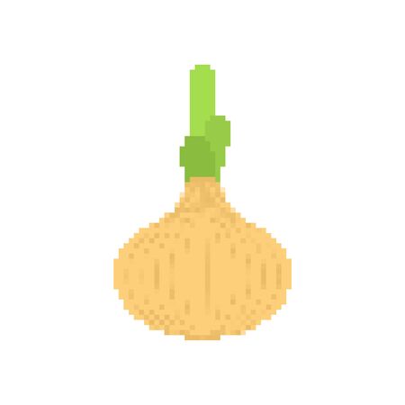 Onion pixel art isolated. 8 bit vegetable. vector illustrationのイラスト素材
