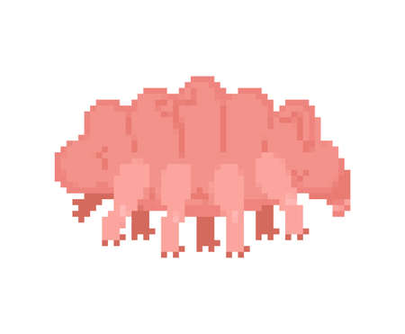 Tardigrada pixel art 8 bit. type of microscopic invertebrate. vector illustrationのイラスト素材