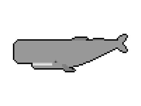 Sperm whale pixel art 8 bit. pixelated cachalot big whale 8bitのイラスト素材