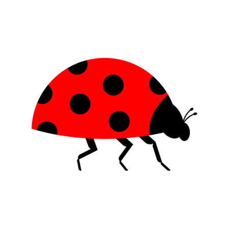 Ladybug isolated. Red small bug. beetle vector illustrationのイラスト素材