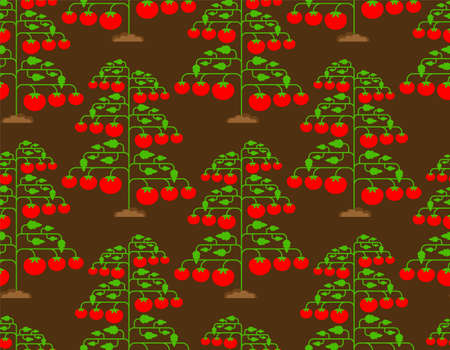 Tomato bush pattern seamless. Tomatos background. vector textureのイラスト素材