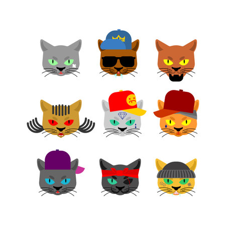 Cat Gangsta set. Angry pet muzzle. Animal bully member of gang of street criminalsのイラスト素材