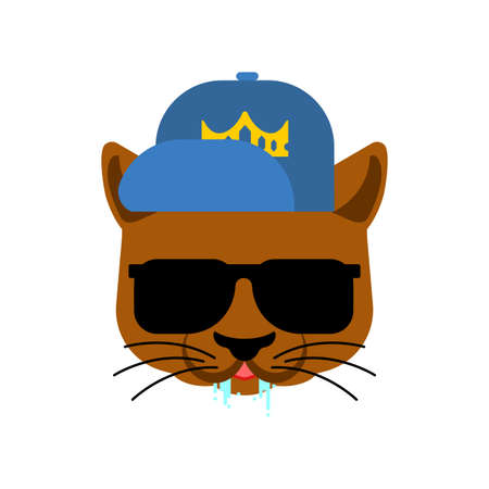 Cat Gangsta face. Angry pet muzzle. Animal bully member of gang of street criminalsのイラスト素材