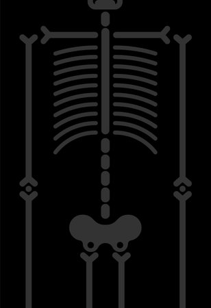 Banner Skeleton and bones for halloween party backdrop. All Hallows Eve background. Place for textのイラスト素材