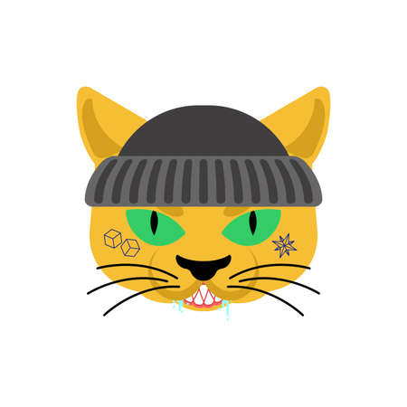 Cat Gangsta face. Angry pet muzzle. Animal bully member of gang of street criminalsのイラスト素材