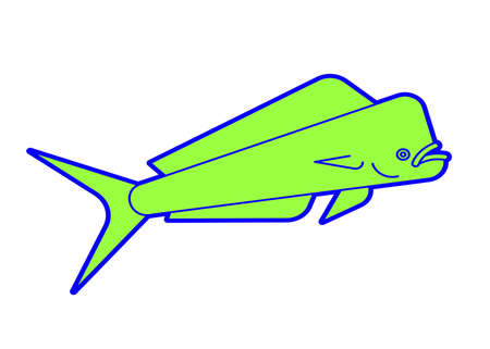 Dorado fish isolated. Mahi Mahi saltwater fish. vector illustrationのイラスト素材
