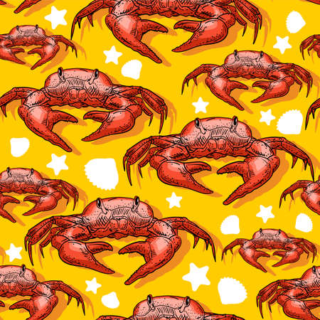Crab pattern seamless. sea cancer background. baby fabric decorationのイラスト素材