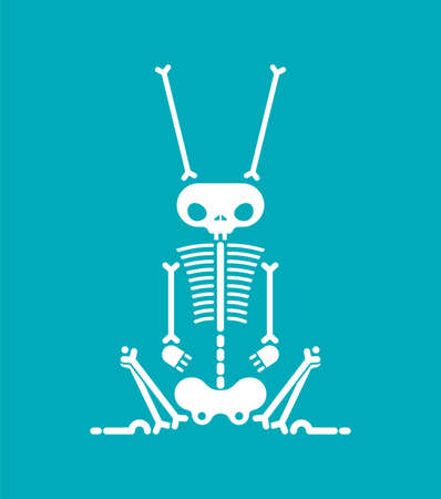 Skeleton Rabbit cartoon isolated. Skull hare Vector illustrationのイラスト素材