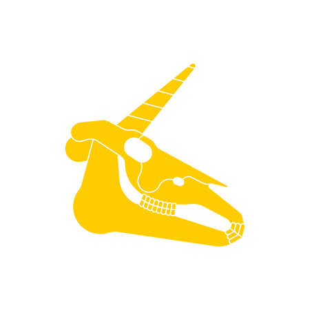 Unicorn skull isolated. Magic horse with horn cranium. vector illustrationのイラスト素材