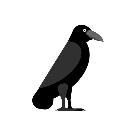 Black Raven isolated. Black crow symbol of deathのイラスト素材