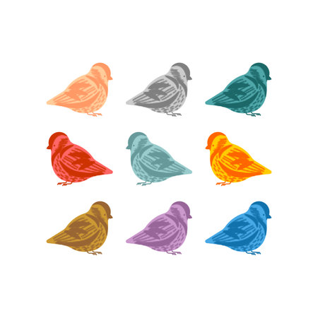 Sparrow multicolor set. Small bird Vector illustration.の写真素材