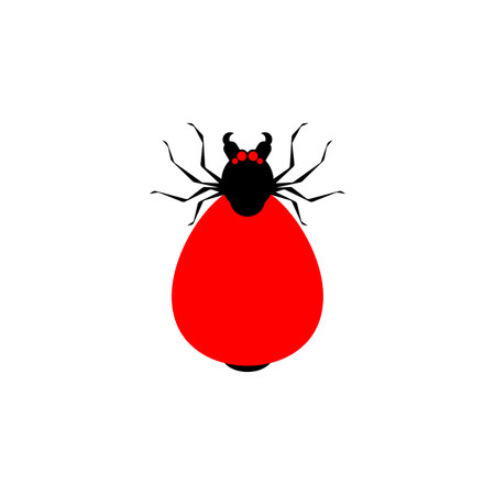 Mite isolated. Encephalitic red tick. vector illustrationのイラスト素材