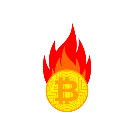 Bitcoin is on fire. Cryptocurrency burns. vector illustrationのイラスト素材