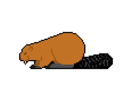Beaver pixel art. 8 bit swamp rodent. pixelated Vector illustrationのイラスト素材