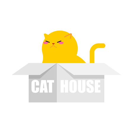 Cat in box. Pet in cardboard box. House for cat.のイラスト素材