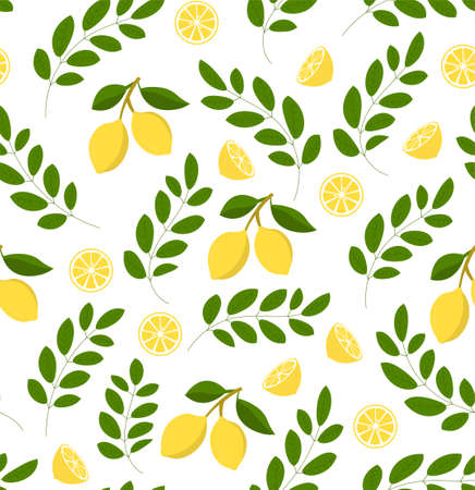 Seamless lemon pattern on white background. Vector citrus illustration. Perfect for wallpaper, background, textile, fabric, wrapping paper or flyers.のイラスト素材