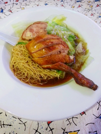 Roasted duck with noodleの素材