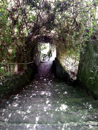 Garden stairwayの写真素材