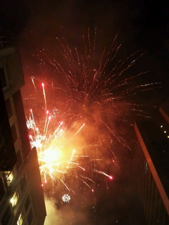 Celebrate new yearの素材