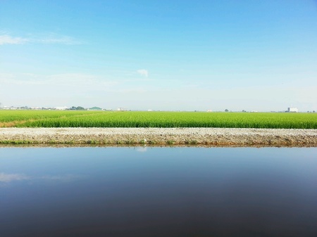 Beautiful paddy fieldの素材