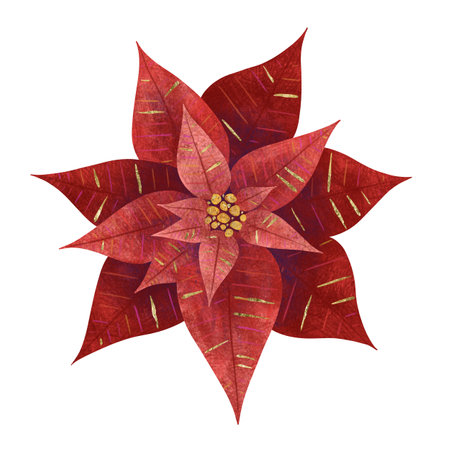 Christmas flower red poinsettia, unique digital handmade illustration isolated on white background. For creating holiday greeting cards and invitations, packaging, printing on textiles, wallpapers.の写真素材