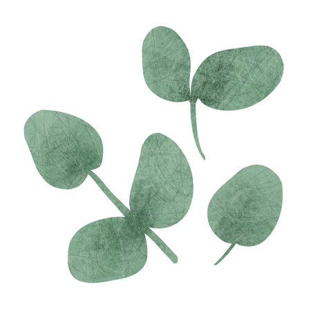 Branch of plant with rounded green leaves, handmade digital illustration isolated on white background. For creating holiday greeting cards and invitations, packaging, printing on textiles, wallpaper.の写真素材