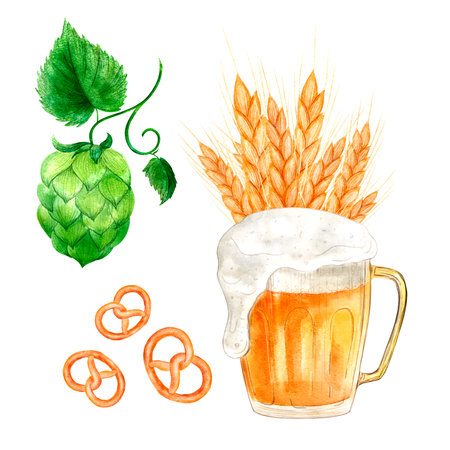 Set of elements: beer, hops, malt, pretzel, digital watercolor illustration. Template design for Octoberfest, textiles, interior, clothing, wallpaper, tableware, stationery.の写真素材
