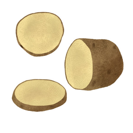 Potato tubers for cooking, handmade digital illustration on a white backgroundの写真素材