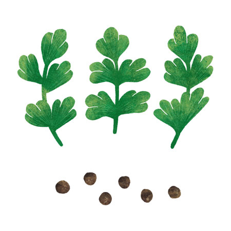 A set of sprigs of parsley and black pepper with peas, digital illustration on a white backgroundの写真素材