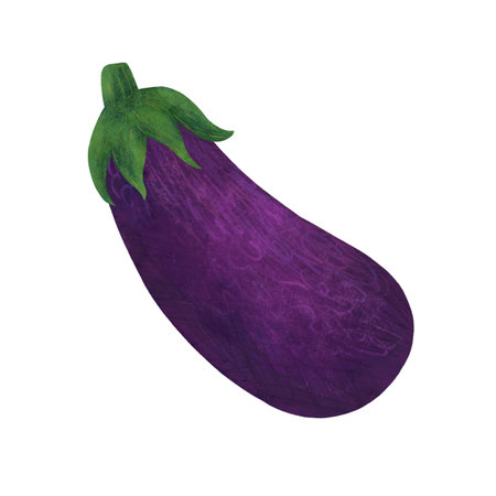 Purple eggplant, handmade digital illustration isolated on a white background. An element for designing food and kitchen goods. Handmade digital illustrationの写真素材