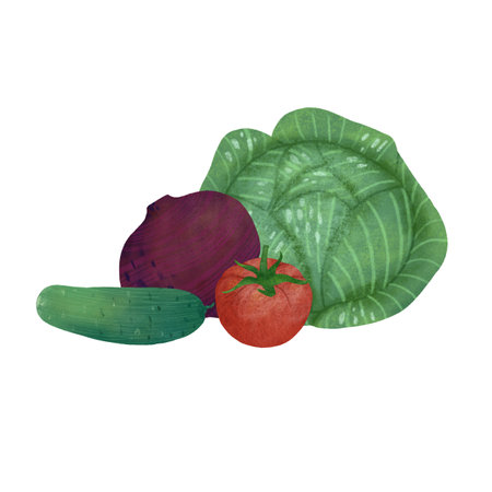 Vegetable composition: cabbage, tomato, beetroot, cucumber on a white background. An element for designing food and kitchen goods. Handmade digital illustrationの写真素材