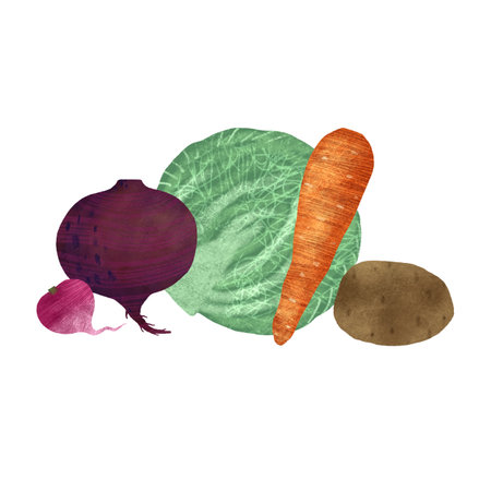 Vegetable composition: cabbage, carrots, radishes, potatoes, beets on a white background. An element for designing food and kitchen goods. Handmade digital illustrationの写真素材