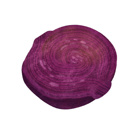 Beetroot, isolated on a white background. An element for designing food and kitchen goods. Handmade digital illustrationの写真素材
