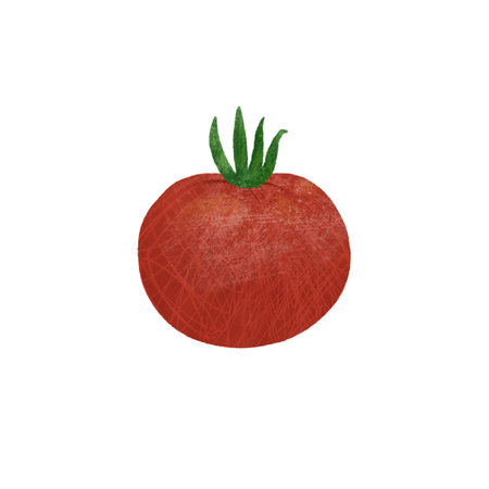 Red ripe tomato, isolated on white background. An element for designing food and kitchen goods. Handmade digital illustrationの写真素材