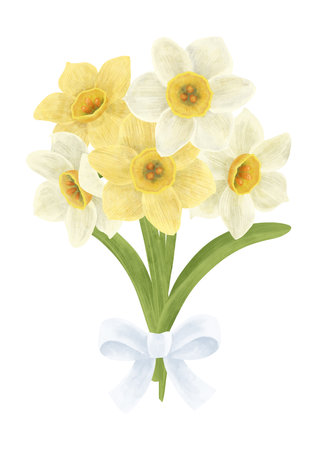 Bouquet of white and yellow daffodil flowers, composition, handmade digital illustration on a white background. An element for the designの写真素材