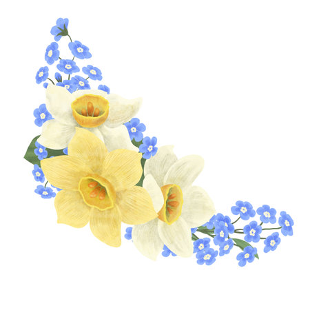 Floral arrangement of blue forget-me-nots and daffodils, handmade digital illustration on a white background. An element for the designの写真素材