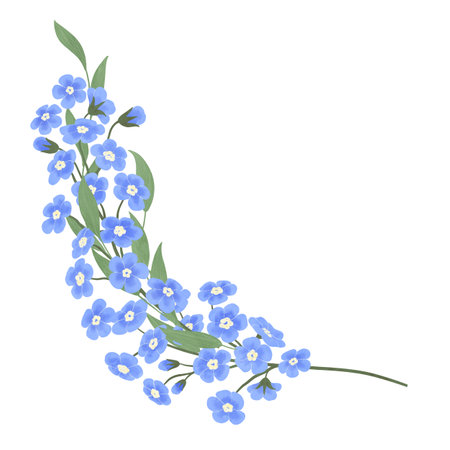 A sprig of blue forget-me-nots, a floral composition, handmade digital illustration on a white background. An element for the design of postcards, invitations, packaging, textiles, wallpaper.の写真素材