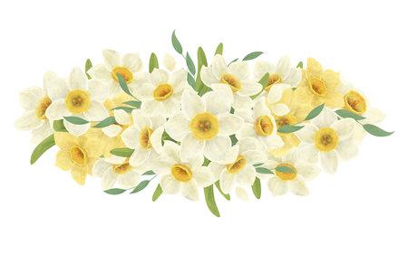 Floral arrangement of a bouquet of white and yellow daffodils, leaves, handmade digital illustration on a white background. An element for the design of postcards, invitations, packagingの写真素材