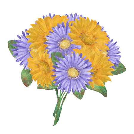 Bouquet of autumn purple and yellow flowers, handmade digital illustration on a white background. A composition for the design of postcards, invitations, packaging, textiles, wallpaper.の写真素材
