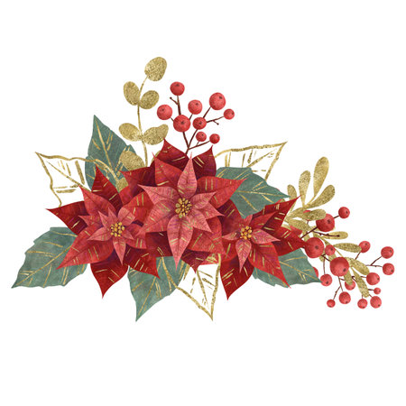 Composition with Christmas flower red poinsettia, fir branches, vegetation and berries isolated on white background. Handmade digital illustration Element for design of postcards, invitations patternsの写真素材