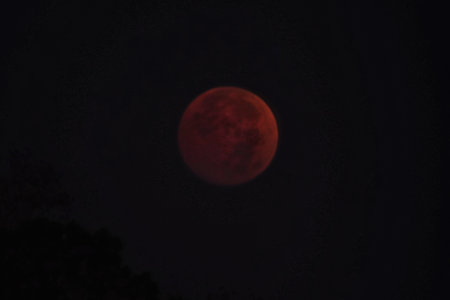 Total Moon Eclipse, Total Lunar Eclipse, Blood Moon, Super Moon, Black Sky. Red Moon.
