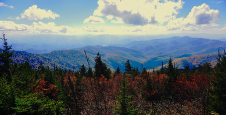 Great Smoky Mountains National Park, Tennessee. Blue Ridge Mountains, North Carolina. Appalachian. hiking. Good views for colorful outdoor foliage. gorgeous peak fall color. red yの写真素材
