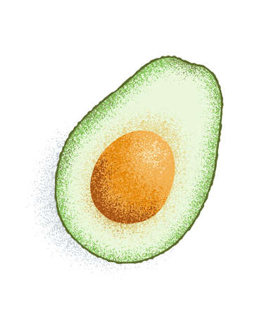Avocado cut in half, flat lay, vector illustration with grainy textureのイラスト素材